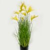 Artificial Grass leaf flower 10 in PP pot GS-61923009-Y1 Artificial Grass 40*40*83cm leaf flower *10 in PP pot GS-61923009-Y1 Grass&PLANT YeahFlower is one of Chinese leading OEM manufacturers and exporters , supplying the silk flowers, wholesale artificial trees