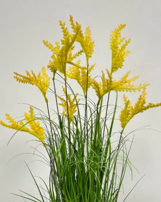 Artificial Grass 40*40*83cm leaf flower *10 in PP pot GS-61923009-Y1 Grass&PLANT YeahFlower is one of Chinese leading OEM manufacturers and exporters , supplying the silk flowers, wholesale artificial trees Artificial Grass 40*40*83cm leaf flower *10 in PP pot GS-61923009-Y1 Grass&PLANT YeahFlower is one of Chinese leading OEM manufacturers and exporters , supplying the silk flowers, wholesale artificial trees