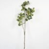 Artificial Plant 5 Eucalyptus leaf single stem GS-25823003 Artificial Plant 14.75*14.75*50.25″ Eucalyptus leaf single stem GS-25823003 Leaves&Sprays&Foliages YeahFlower is one of Chinese leading OEM manufacturers and exporters , supplying the silk flowers, wholesale artificial trees