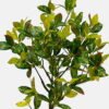 Artificial Plant 85cm Tree in PP pot GS-61923041 Tree&Plant YeahFlower is one of Chinese leading OEM manufacturers and exporters , supplying the silk flowers, wholesale artificial trees