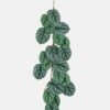 Artificial Plant Arum vine 5 garland lvs 20 GS-64023003_3 Artificial Plant 40*137cm Arum vine *5 garland/lvs 20 GS-64023003 Leaves&Sprays&Foliages YeahFlower is one of Chinese leading OEM manufacturers and exporters , supplying the silk flowers, wholesale artificial trees