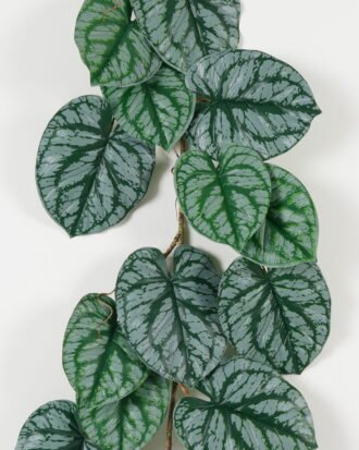 Artificial Plant 40*137cm Arum vine *5 garland/lvs 20 GS-64023003 Leaves&Sprays&Foliages YeahFlower is one of Chinese leading OEM manufacturers and exporters , supplying the silk flowers, wholesale artificial trees