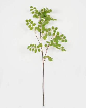 Artificial Plant 36*36*89cm Copper leaf *2 single stem GS-53623044 Leaves&Sprays&Foliages YeahFlower is one of Chinese leading OEM manufacturers and exporters , supplying the silk flowers, wholesale artificial trees Artificial Plant 36*36*89cm Copper leaf *2 single stem GS-53623044 Leaves&Sprays&Foliages YeahFlower is one of Chinese leading OEM manufacturers and exporters , supplying the silk flowers, wholesale artificial trees