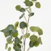 Artificial Plant Eucalyptus leaf single stem GS-25823002_3 Artificial Plant 13*13*40″ Eucalyptus leaf single stem GS-25823002 Leaves&Sprays&Foliages YeahFlower is one of Chinese leading OEM manufacturers and exporters , supplying the silk flowers, wholesale artificial trees
