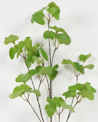 Artificial Plant 35*35*113cm Ginkgo leaf *3 single stem GS-53623041 Leaves&Sprays&Foliages YeahFlower is one of Chinese leading OEM manufacturers and exporters , supplying the silk flowers, wholesale artificial trees Artificial Plant 35*35*113cm Ginkgo leaf *3 single stem GS-53623041 Leaves&Sprays&Foliages YeahFlower is one of Chinese leading OEM manufacturers and exporters , supplying the silk flowers, wholesale artificial trees