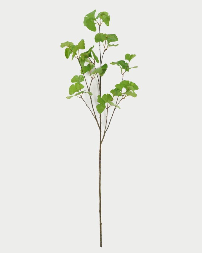Artificial Plant Ginkgo leaf 3 single stem GS-53623041_4 Artificial Plant 35*35*113cm Ginkgo leaf *3 single stem GS-53623041 Leaves&Sprays&Foliages YeahFlower is one of Chinese leading OEM manufacturers and exporters , supplying the silk flowers, wholesale artificial trees