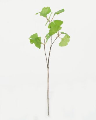 Artificial Plant 20*20*76cm Ginkgo leaf *3 single stem GS-53623042-G1 Leaves&Sprays&Foliages YeahFlower is one of Chinese leading OEM manufacturers and exporters , supplying the silk flowers, wholesale artificial trees Artificial Plant 20*20*76cm Ginkgo leaf *3 single stem GS-53623042-G1 Leaves&Sprays&Foliages YeahFlower is one of Chinese leading OEM manufacturers and exporters , supplying the silk flowers, wholesale artificial trees
