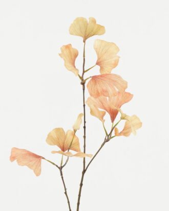 Artificial Plant 20*20*76cm Ginkgo leaf *3 single stem GS-53623042 Leaves&Sprays&Foliages YeahFlower is one of Chinese leading OEM manufacturers and exporters , supplying the silk flowers, wholesale artificial trees Artificial Plant 20*20*76cm Ginkgo leaf *3 single stem GS-53623042 Leaves&Sprays&Foliages YeahFlower is one of Chinese leading OEM manufacturers and exporters , supplying the silk flowers, wholesale artificial trees