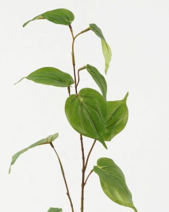Artificial Plant 23*23*76cm Leaf *2 single stem GS-53623037 Leaves&Sprays&Foliages YeahFlower is one of Chinese leading OEM manufacturers and exporters , supplying the silk flowers, wholesale artificial trees Artificial Plant 23*23*76cm Leaf *2 single stem GS-53623037 Leaves&Sprays&Foliages YeahFlower is one of Chinese leading OEM manufacturers and exporters , supplying the silk flowers, wholesale artificial trees