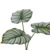 Artificial Plant 40*60cm Leaf *3 bundle GS-66423001 Leaves&Sprays&Foliages YeahFlower is one of Chinese leading OEM manufacturers and exporters , supplying the silk flowers, wholesale artificial trees