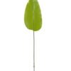 Artificial Plant Leaf single stem GS-66423003_4 Artificial Plant 19.5*87cm Leaf single stem GS-66423003 Leaves&Sprays&Foliages YeahFlower is one of Chinese leading OEM manufacturers and exporters , supplying the silk flowers, wholesale artificial trees