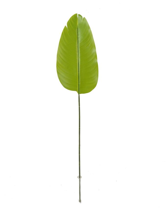 Artificial Plant Leaf single stem GS-66423003_4 Artificial Plant 19.5*87cm Leaf single stem GS-66423003 Leaves&Sprays&Foliages YeahFlower is one of Chinese leading OEM manufacturers and exporters , supplying the silk flowers, wholesale artificial trees