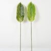 Artificial Plant Leaf single stem GS-66423004_1 Artificial Plant 16*87cm Leaf single stem GS-66423004 Leaves&Sprays&Foliages YeahFlower is one of Chinese leading OEM manufacturers and exporters , supplying the silk flowers, wholesale artificial trees