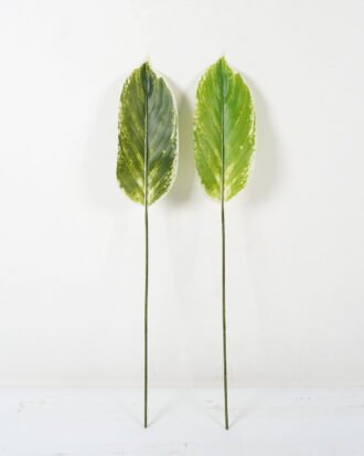 Artificial Plant 16*87cm Leaf single stem GS-66423004 Leaves&Sprays&Foliages YeahFlower is one of Chinese leading OEM manufacturers and exporters , supplying the silk flowers, wholesale artificial trees Artificial Plant 16*87cm Leaf single stem GS-66423004 Leaves&Sprays&Foliages YeahFlower is one of Chinese leading OEM manufacturers and exporters , supplying the silk flowers, wholesale artificial trees