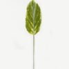 Artificial Plant Leaf single stem GS-66423004_4 Artificial Plant 16*87cm Leaf single stem GS-66423004 Leaves&Sprays&Foliages YeahFlower is one of Chinese leading OEM manufacturers and exporters , supplying the silk flowers, wholesale artificial trees
