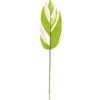 Artificial Plant 16*86cm Leaf single stem GS-66423005 Leaves&Sprays&Foliages YeahFlower is one of Chinese leading OEM manufacturers and exporters , supplying the silk flowers, wholesale artificial trees