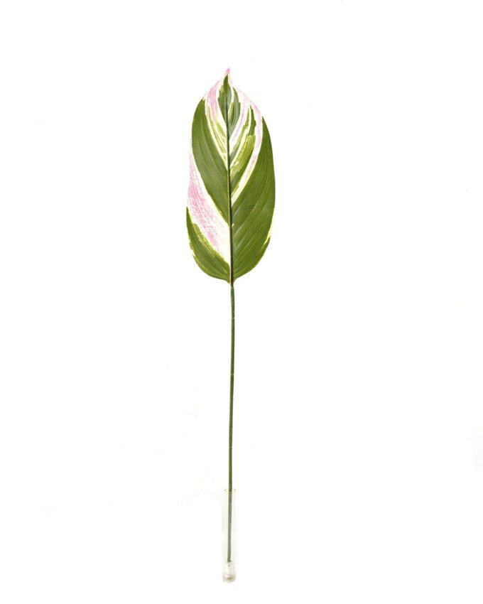 Artificial Plant 16*86cm Leaf single stem GS-66423005 Leaves&Sprays&Foliages YeahFlower is one of Chinese leading OEM manufacturers and exporters , supplying the silk flowers, wholesale artificial trees