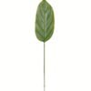 Artificial Plant 16*88cm Leaf single stem GS-66423006-G1 Leaves&Sprays&Foliages YeahFlower is one of Chinese leading OEM manufacturers and exporters , supplying the silk flowers, wholesale artificial trees