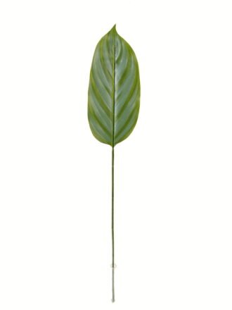 Artificial Plant 40*40*110cm Leaf *3 single stem GS-53623036 Leaves&Sprays&Foliages 3,000+ sqm showroom with thousands of artificial flowers, plants & trees ready for global sourcing.