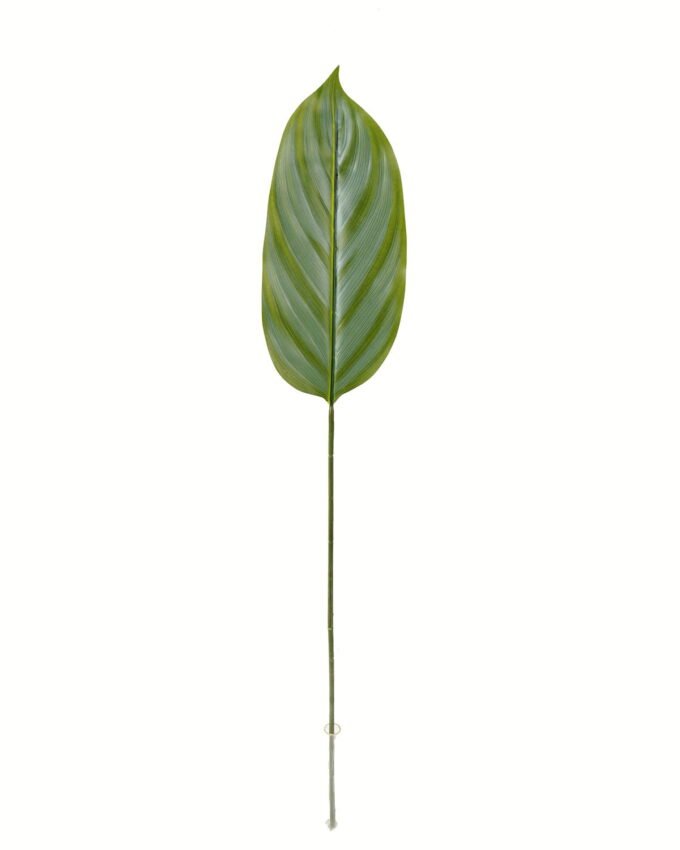 Artificial Plant 16*88cm Leaf single stem GS-66423006-G1 Leaves&Sprays&Foliages YeahFlower is one of Chinese leading OEM manufacturers and exporters , supplying the silk flowers, wholesale artificial trees