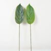 Artificial Plant Leaf single stem GS-66423006_1 Artificial Plant 16*88cm Leaf single stem GS-66423006 Leaves&Sprays&Foliages YeahFlower is one of Chinese leading OEM manufacturers and exporters , supplying the silk flowers, wholesale artificial trees