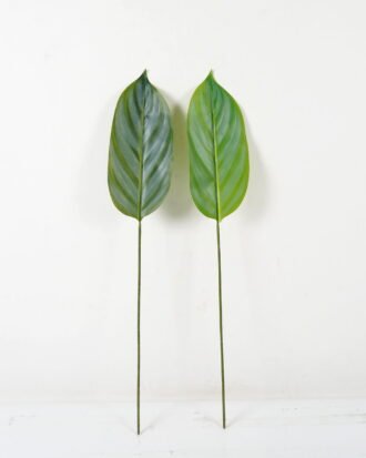 Artificial Plant 16*88cm Leaf single stem GS-66423006 Leaves&Sprays&Foliages YeahFlower is one of Chinese leading OEM manufacturers and exporters , supplying the silk flowers, wholesale artificial trees Artificial Plant 16*88cm Leaf single stem GS-66423006 Leaves&Sprays&Foliages YeahFlower is one of Chinese leading OEM manufacturers and exporters , supplying the silk flowers, wholesale artificial trees