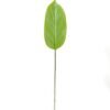 Artificial Plant Leaf single stem GS-66423006_3 Artificial Plant 16*88cm Leaf single stem GS-66423006 Leaves&Sprays&Foliages YeahFlower is one of Chinese leading OEM manufacturers and exporters , supplying the silk flowers, wholesale artificial trees