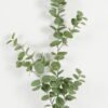 Artificial Plant Leaf single stem GS-68923003_1 Artificial Plant 30*30*86cm Leaf single stem GS-68923003 Potted Flowers&Plants YeahFlower is one of Chinese leading OEM manufacturers and exporters , supplying the silk flowers, wholesale artificial trees