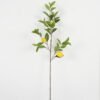 Artificial Plant 28*28*91cm Lemon Leaf single stem/3 fruit GS-68923005 Potted Flowers&Plants YeahFlower is one of Chinese leading OEM manufacturers and exporters , supplying the silk flowers, wholesale artificial trees