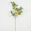 Artificial Plant 30*30*91cm  Lemon Leaf single stem/5 fruit GS-68923004 Potted Flowers&Plants YeahFlower is one of Chinese leading OEM manufacturers and exporters , supplying the silk flowers, wholesale artificial trees