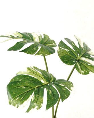 Artificial Plant 40*60cm Monstera *3 bundle GS-66423002 Leaves&Sprays&Foliages YeahFlower is one of Chinese leading OEM manufacturers and exporters , supplying the silk flowers, wholesale artificial trees Artificial Plant 40*60cm Monstera *3 bundle GS-66423002 Leaves&Sprays&Foliages YeahFlower is one of Chinese leading OEM manufacturers and exporters , supplying the silk flowers, wholesale artificial trees