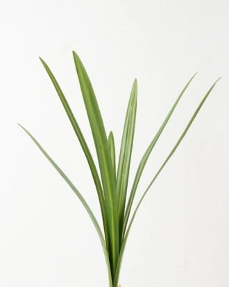 Artificial Plant 25*25*82cm  Whelan leaf * 7 GS-00523004 Leaves&Sprays&Foliages YeahFlower is one of Chinese leading OEM manufacturers and exporters , supplying the silk flowers, wholesale artificial trees