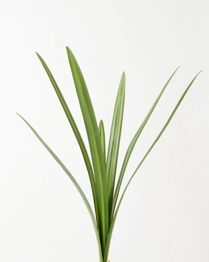 Artificial Plant 25*25*82cm  Whelan leaf * 7 GS-00523004 Leaves&Sprays&Foliages YeahFlower is one of Chinese leading OEM manufacturers and exporters , supplying the silk flowers, wholesale artificial trees