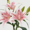 Artificial Table Plants 35cm Lily*3 in the glass GS-06923004-P1 Potted Flowers&Plants YeahFlower is one of Chinese leading OEM manufacturers and exporters , supplying the silk flowers, wholesale artificial trees