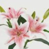 Artificial Table Plants 35cm Lily*3 in the glass GS-06923004 Potted Flowers&Plants YeahFlower is one of Chinese leading OEM manufacturers and exporters , supplying the silk flowers, wholesale artificial trees