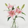 Artificial Table Plants 35cm Lily*3 in the glass GS-06923004 Potted Flowers&Plants YeahFlower is one of Chinese leading OEM manufacturers and exporters , supplying the silk flowers, wholesale artificial trees