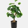 Artificial Table Plants Green leaf 2 in PP pot GS-69423024_5 Artificial Table Plants 24*24*44cm Green leaf *2 in PP pot GS-69423024 Potted Flowers&Plants YeahFlower is one of Chinese leading OEM manufacturers and exporters , supplying the silk flowers, wholesale artificial trees