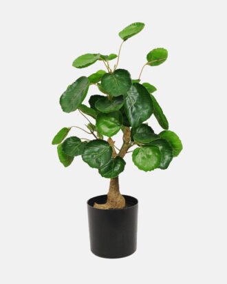 Artificial Table Plants 24*24*44cm Green leaf *2 in PP pot GS-69423024 Potted Flowers&Plants YeahFlower is one of Chinese leading OEM manufacturers and exporters , supplying the silk flowers, wholesale artificial trees
