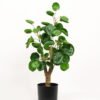 Artificial Table Plants Green leaf 2 in PP pot GS-69423025_7 Artificial Table Plants 28*28*47cm Green leaf *2 in PP pot GS-69423025 Potted Flowers&Plants YeahFlower is one of Chinese leading OEM manufacturers and exporters , supplying the silk flowers, wholesale artificial trees