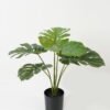 Artificial Table Plants 48*48*50cm Leaf *6 in PP pot GS-69423013 Potted Flowers&Plants YeahFlower is one of Chinese leading OEM manufacturers and exporters , supplying the silk flowers, wholesale artificial trees