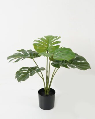 Artificial Table Plants 48*48*50cm Leaf *6 in PP pot GS-69423013 Potted Flowers&Plants YeahFlower is one of Chinese leading OEM manufacturers and exporters , supplying the silk flowers, wholesale artificial trees