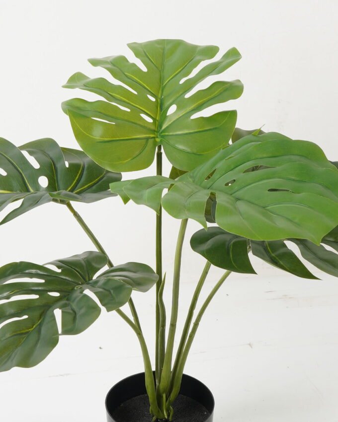 Artificial Table Plants 48*48*50cm Leaf *6 in PP pot GS-69423013 Potted Flowers&Plants YeahFlower is one of Chinese leading OEM manufacturers and exporters , supplying the silk flowers, wholesale artificial trees