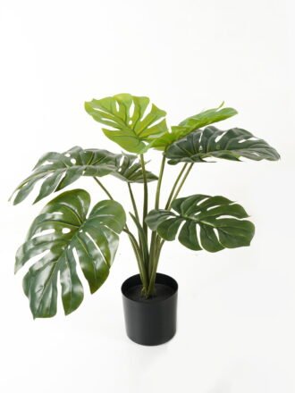 Artificial Table Plants 55*55*54cm Rohdea japonica *6 in PP pot GS-69423015 Potted Flowers&Plants 3,000+ sqm showroom with thousands of artificial flowers, plants & trees ready for global sourcing.