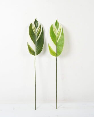Artificial Table Plants 16*87cm Leaf Leaf single stem GS-66423033 Leaves&Sprays&Foliages YeahFlower is one of Chinese leading OEM manufacturers and exporters , supplying the silk flowers, wholesale artificial trees Artificial Table Plants 16*87cm Leaf Leaf single stem GS-66423033 Leaves&Sprays&Foliages YeahFlower is one of Chinese leading OEM manufacturers and exporters , supplying the silk flowers, wholesale artificial trees