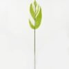 Artificial Table Plants 16*87cm Leaf Leaf single stem GS-66423033 Leaves&Sprays&Foliages YeahFlower is one of Chinese leading OEM manufacturers and exporters , supplying the silk flowers, wholesale artificial trees