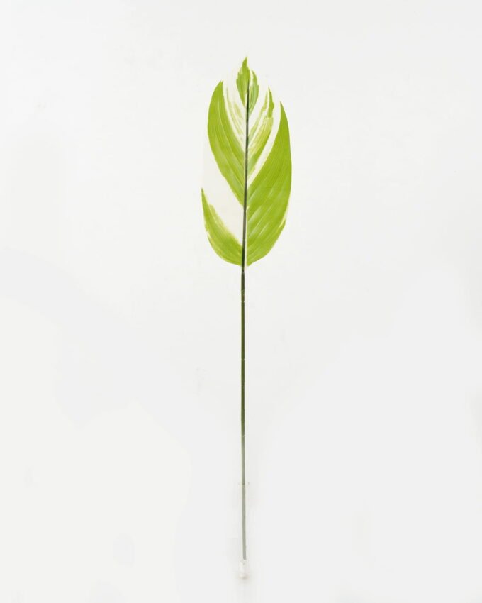 Artificial Table Plants 16*87cm Leaf Leaf single stem GS-66423033 Leaves&Sprays&Foliages YeahFlower is one of Chinese leading OEM manufacturers and exporters , supplying the silk flowers, wholesale artificial trees