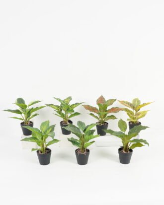 Artificial Table Plants 25*25*25cm Leaf in PP pot/10 lvs GS-70223011 Potted Flowers&Plants YeahFlower is one of Chinese leading OEM manufacturers and exporters , supplying the silk flowers, wholesale artificial trees