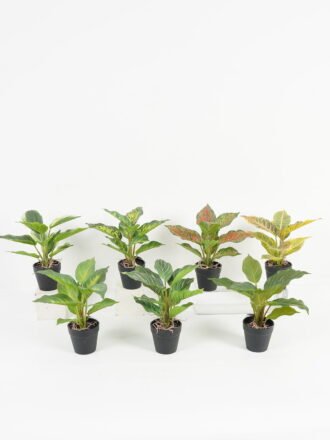 Artificial Table Plants 28*28*36cm Leaf in PP pot/14 lvs GS-70223010-G6 Potted Flowers&Plants 3,000+ sqm showroom with thousands of artificial flowers, plants & trees ready for global sourcing.