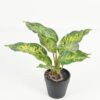 Artificial Table Plants 25*25*25cm Leaf in PP pot/10 lvs GS-70223011 Potted Flowers&Plants YeahFlower is one of Chinese leading OEM manufacturers and exporters , supplying the silk flowers, wholesale artificial trees