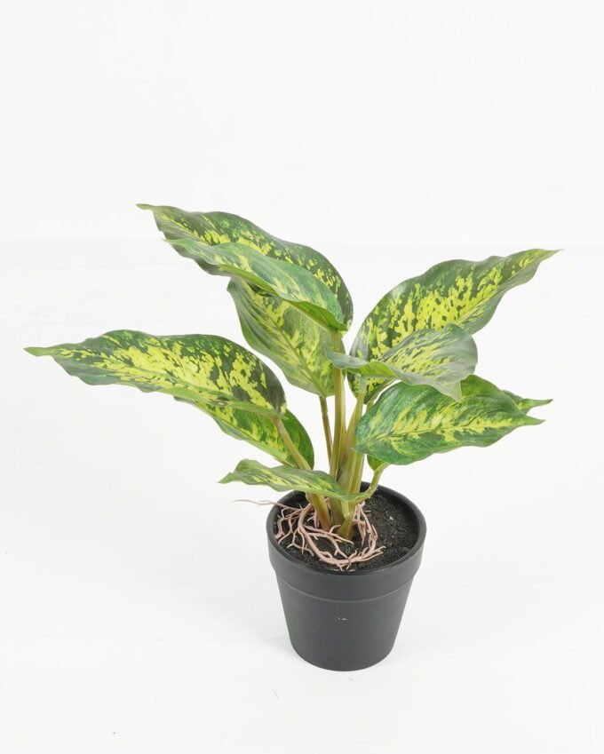 Artificial Table Plants 25*25*25cm Leaf in PP pot/10 lvs GS-70223011 Potted Flowers&Plants YeahFlower is one of Chinese leading OEM manufacturers and exporters , supplying the silk flowers, wholesale artificial trees